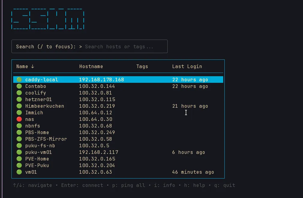 sshm terminal ping view