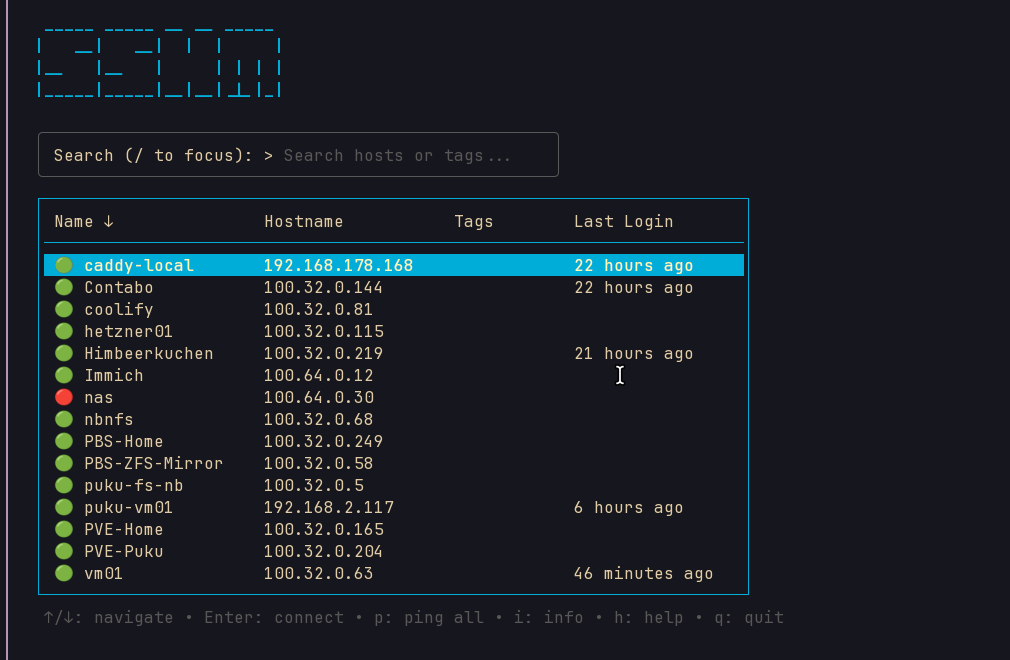 sshm terminal ping view